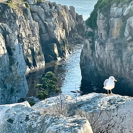 As Estrelas Proches Centre Et Petite Trois établissements Indépendants Climatisés Et De Confort Hébergement de vacances