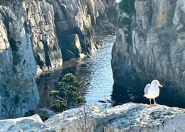 As Estrelas Proches Centre Et Petite Trois établissements Indépendants Climatisés Et De Confort Hébergement de vacances
